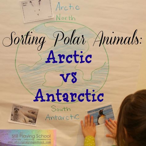 Polar Animal Sort: Arctic vs Antarctic from Still Playing School Arctic Vs Antarctic For Kids, Arctic Activities, Polar Animals Preschool, Animal Sorting, Arctic Habitat, January Preschool, Antarctic Animals, Animals Preschool, Montessori Geography