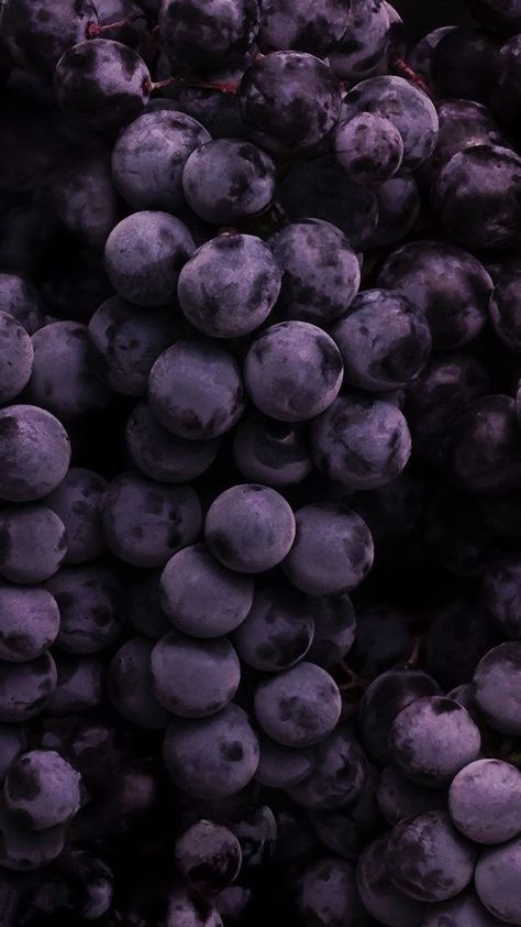 Grape Aesthetic, Fruit Wallpaper, Food Wallpaper, Aesthetic Tumblr, Purple Grapes, Wallpaper For Your Phone, Aesthetic Gif, Purple Aesthetic, Nature Aesthetic