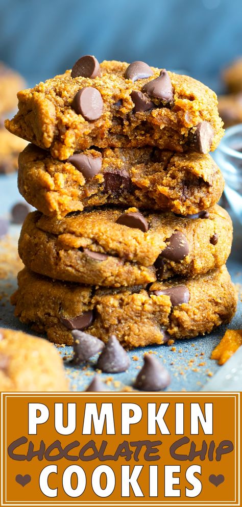 Pumpkin Cookie Recipe, Vegan Coconut, Pumpkin Chocolate Chip, Pumpkin Chocolate Chip Cookies, Paleo Chocolate, Pumpkin Chocolate Chips, Healthy Pumpkin, Thanksgiving Desserts, Thanksgiving Holiday