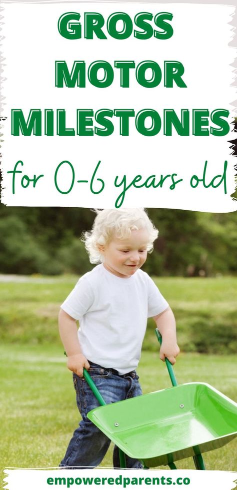 Gross Motor Milestones, Preschool Checklist, Motor Skills Preschool, Adapted Physical Education, Home Exercise Program, List Of Skills, Gross Motor Activities, Fine Motor Skills Activities, Motor Skills Activities