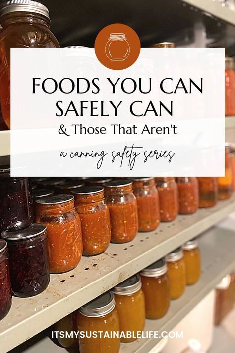 Knowing what foods can be safely canned & which foods shouldn't canned is essential to following safe canning practices. Canning Peaches, Canning Salsa, Canning Pickles, Canning Food, Canning Food Preservation, Living Simply, Homesteading Skills, Dehydrated Food, Loving Life