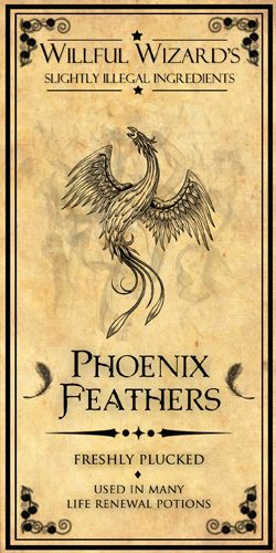 Phoenix Feathers Harry Potter Potion Labels, Posters Harry Potter, Imprimibles Harry Potter, Modele Pixel Art, Phoenix Feather, Halloween Potion Bottles, Halloween Apothecary, Harry Potter Printables, Harry Potter Potions