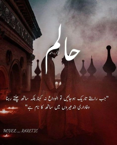 #pinterest#novel lovers#halim Halim Quotes In Urdu, Quotes For Novel Lovers, Halim Novel Lines, Halim Novel Quotes, Halim Novel, Impressive Quotes, Novels Quotes, Simplicity Quotes, Achi Batain