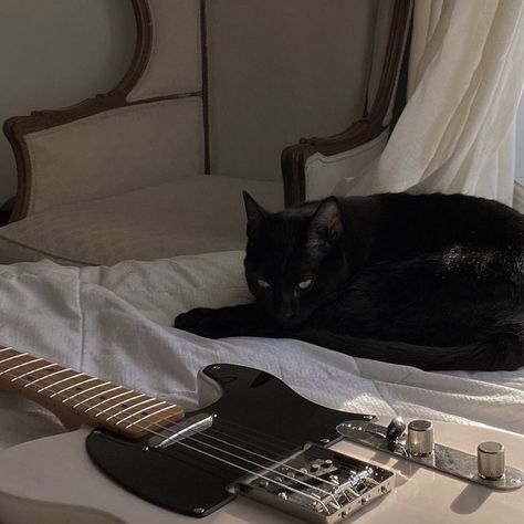 Gitar Vintage, Rabastan Lestrange, Black Cat Aesthetic, Guitar Obsession, Fotografi Vintage, Cool Electric Guitars, Regulus Black, Music Aesthetic, Cat Aesthetic