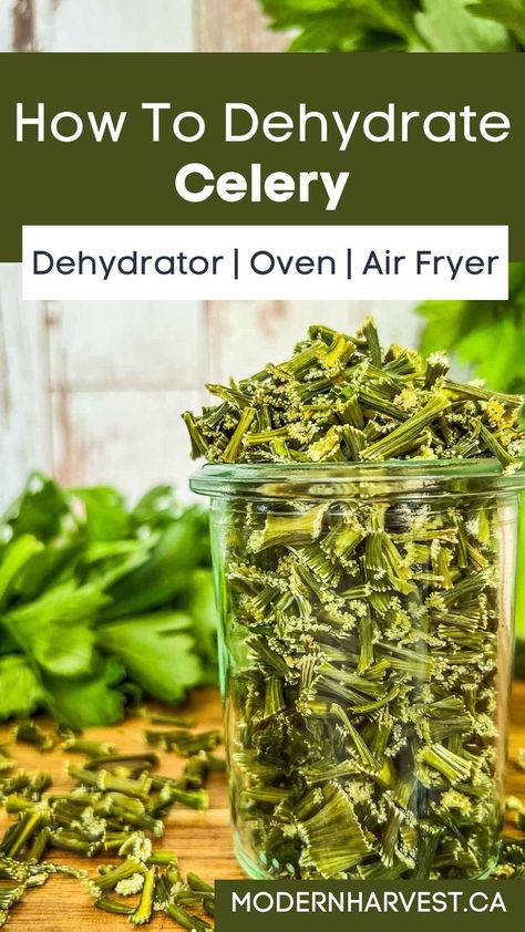 Drying Celery, Dehydrating In Air Fryer, Dehydrating Celery, Dehydrate Celery, Celery Leaves, Dehydrating Food Storage, Dehydrated Vegetables, Long Term Storage, Health Trends