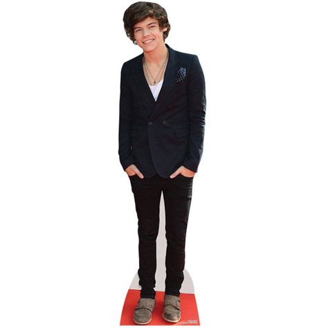 Harry Styles Cardboard Cutout, 14th Birthday Party Ideas, Life Size Cutouts, Harry Styles One Direction, Cardboard Cutout, One Direction Harry Styles, Best Web Design, Spray Adhesive, One Direction Harry