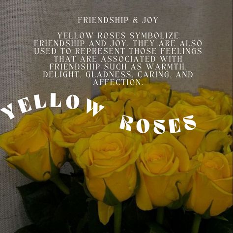 #yellow #roseaesthetic #rose Yellow Rose Meaning, Rose Poems, Friends Aesthetics, Rose Meaning, Rosé Aesthetic, Yellow Roses, Yellow Rose, Yellow, Flowers