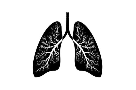 Lungs black icon, cartoon style. Internal organs of the human design element, logo. Anatomy, medicine concept. Healthcare. Isolated on white background. Vector illustration Lungs Black And White, Internal Medicine Logo, Black Lungs, Medicine Logo, Internal Organs, Black Icon, Body Organs, Human Design, Silhouette Art