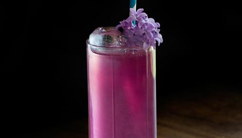 How to Make Lilac Simple Syrup - Moody Mixologist Lilac Cocktail, Moody Mixologist, Tall Purple Flowers, Chartreuse Cocktail, Cocktails Made With Gin, Yellow Chartreuse, Coconut Syrup, Lavender Syrup, Cocktail Syrups