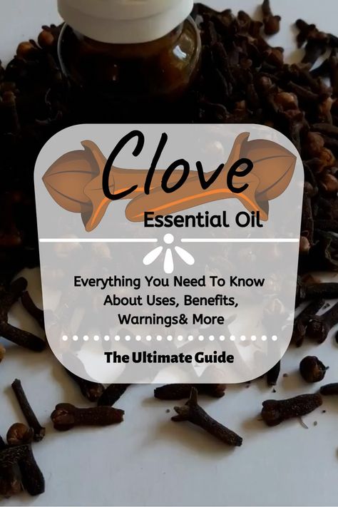 ♦️Essential Oil Clove♦️Essential Oil Info...Benefits Of Clove...How To Make Clove Oil...Essential Oil Remedy...Clove Essential Oil Uses...Aromatherapy...Clove Oil Is One Of The Best Smelling Essential Oils...Clove Essential Oil Recipes...Clove Oil Benefits...Clove Oil For Toothache...Find Out More...Click Here♦️ #whatcure #naturalremedies #essentialoils #PreventiveOralHealthCare Clove Essential Oil Benefits, Clove Oil Benefits, Best Smelling Essential Oils, Cloves Benefits, Tooth Decay Remedies, Coconut Oil For Teeth, Dental Health Care, Essential Oil Remedy, Clove Essential Oil