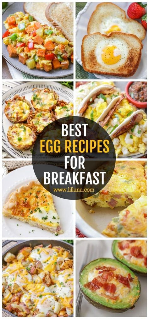 Check out this collection of breakfast egg recipes—classic egg breakfast foods, baked eggs, and bite sized egg recipes are all included! #eggrecipes #eggs #breakfast #breakfasteggs #breakfastrecipes Breakfast Egg Recipes, Potato And Egg Breakfast, Best Egg Recipes, Breakfast Casserole Bacon, Breakfast Egg Casserole, Easy Egg Recipes, Lil Luna, Breakfast Easy, Eggs Breakfast