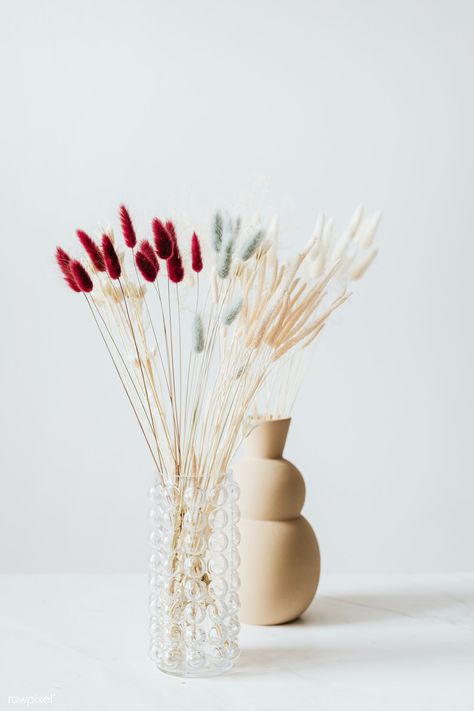 Dried Bunny Tail grass in a vase | premium image by rawpixel.com / Karolina / Kaboompics Bunny Tails Decor, Pinterest Background, Flowers Name List, Pink Pampas Grass, Wildflower Wedding Bouquet, Easter Frame, Red Grass, Free Doodles, Egg Vector