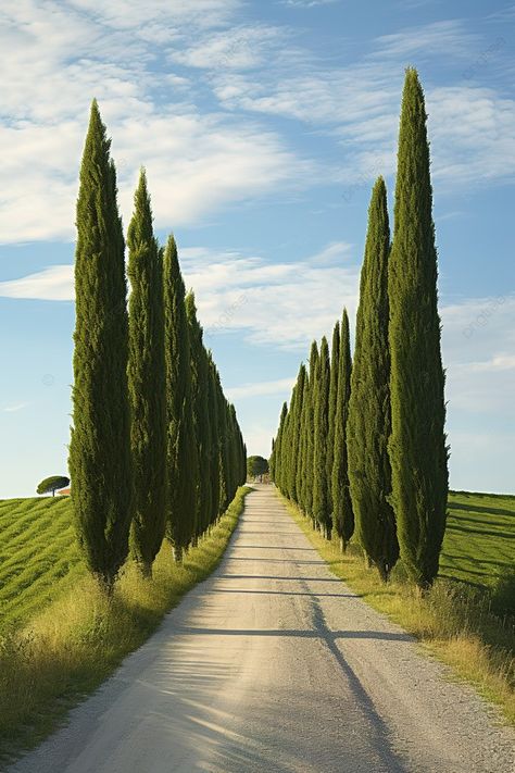 Toscana Aesthetic, Italian Vineyard, Landscape Pencil Drawings, Tuscany Landscape, Hotel Inspiration, Toscana Italia, Italian Village, Under The Tuscan Sun, Italian Landscape