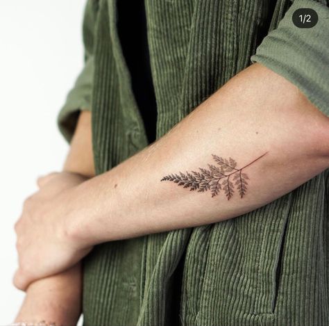 Fern Plant Tattoo, Dainty Fern Tattoo, Silver Fern Tattoo, Botanisches Tattoo, Nature Tattoo Ideas, Cool Nature, Fern Tattoo, Autumn Tattoo, Forest Tattoos