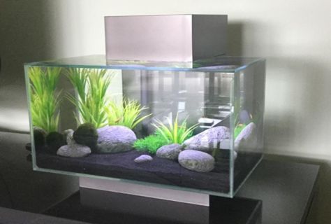 Black Sand Aquarium Ideas, Black Sand Fish Tank, Black And White Fish Tank, Beta Tanks, Zen Aquarium, Betta Tanks, Turtle Tank Setup, Fish Aquarium Decorations, Fish Tank Themes