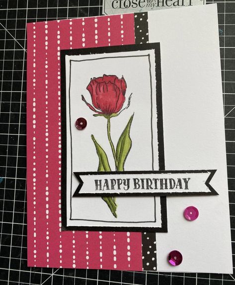 Ctmh Cards 2023, A Million Little Things, Ctmh Cards, Close To My Heart, Little Things, Birthday Cards, Happy Birthday, Stamp, Birthday