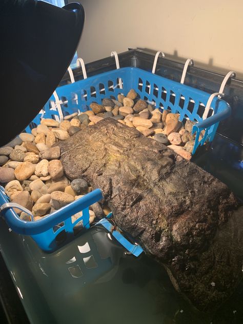 Diy Fish Hideout, Turtle Dock Diy, Basking Area For Turtles Diy, Turtle Playground, Diy Turtle Basking Platform, Turtle Basking Area, Turtle Tub, Aquatic Turtle Habitat, Turtle Tank Ideas