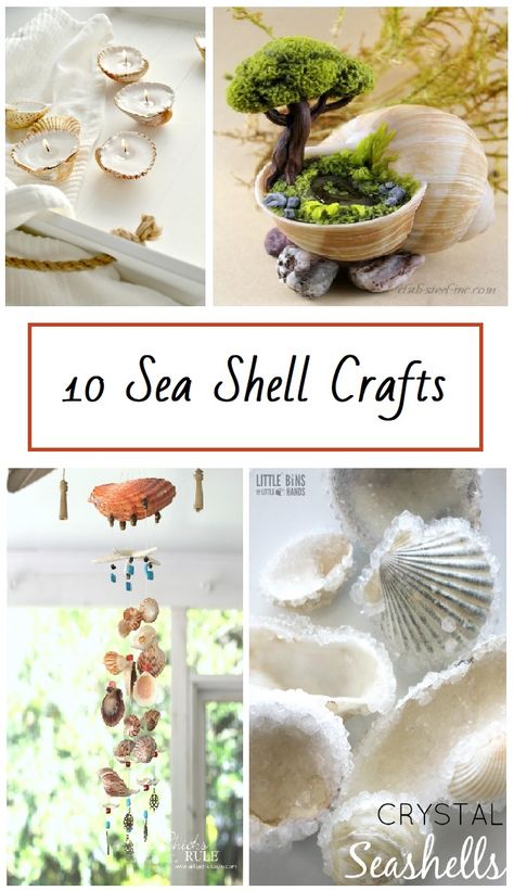 10 Sea Shell crafts Ten different creative ways to use shells. Decorate With Seashells, Seashell Artwork, Sea Shells Diy, Beach Themed Crafts, Seashell Projects, Shells Diy, Deco Nature, Shell Crafts Diy, Sea Crafts