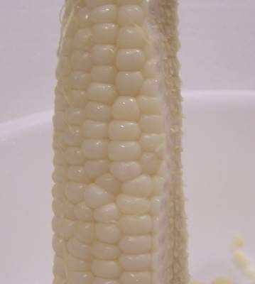 How to Freeze Corn - Easily! With Step-by-step Photos, Recipe, Directions, Ingredients and Costs How To Can Corn, Sweet Corn Ice Cream, Freezing Veggies, Freezing Corn, Canning Corn, Root Cellars, Can Corn, Cream Corn, Low Acid Recipes