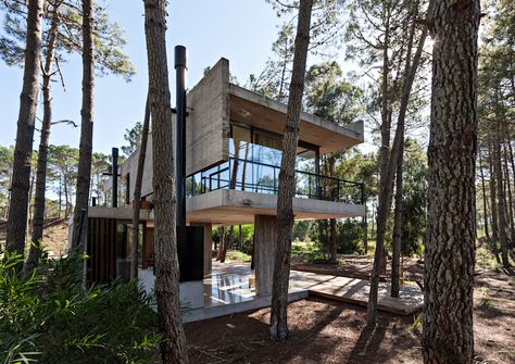 Casa Marino Architecture Cool, Pine Trees Forest, Concrete House, House Goals, Built Environment, Green Building, Contemporary Architecture, House In The Woods, Interior Design Trends