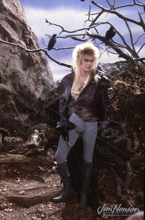 [linked image] Labyrinth Costume, Sarah And Jareth, Labyrinth Jareth, Jim Henson Labyrinth, The Goblin King, David Bowie Labyrinth, Bowie Labyrinth, Labyrinth 1986, Labyrinth Movie