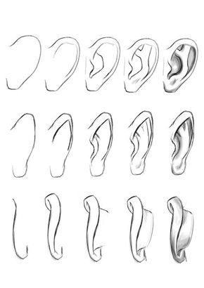 Step By Step Sketches, How To Draw Ears, Seni Dan Kraf, 얼굴 그리기, Drawing Faces, Pencil Art Drawings, Realistic Drawings, Drawing Lessons, Step By Step Drawing