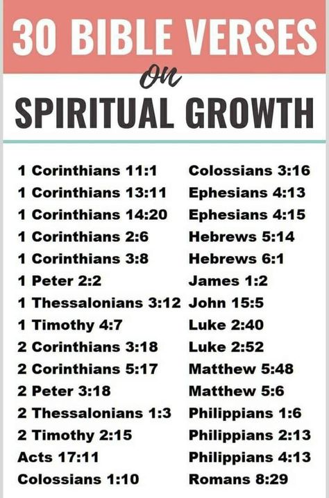 Scriptures For Growth, Bible Verse Guide, Bible Verse For Business Growth, Bible Verses For Beginners, Bible Verses To Start The Day, Bible Verse About Growth, Bible Verses For Growth, Daily Bible Verse Scriptures, Bible Verses For Gratitude