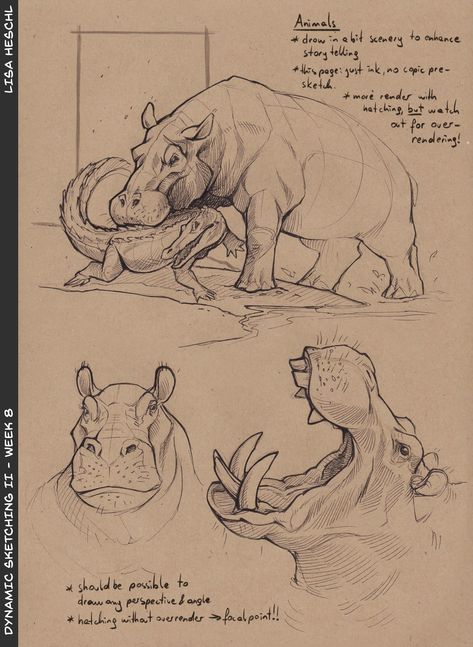 How To Draw Hippopotamus, Elephant Anatomy Drawing, Hippopotamus Sketch, Hippopotamus Illustration, Hippopotamus Drawing, Hippopotamus Art, Hippo Drawing, Cowboy Character Design, Hippo Art