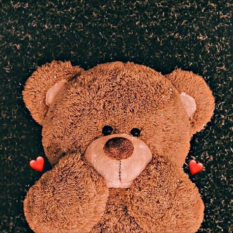 Cute Teddy Bear Pics, Cute Wallpapers For Android, Teddy Bear Cartoon, Teddy Pictures, Album Cover Wallpaper Collage, Iphone Wallpaper Cat, Teddy Bear Wallpaper, Teddy Bear Pictures, Anime Muslim