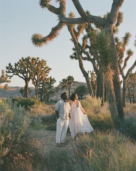 A trip to Joshua tree 🍄 35mm, medium format & digital Film Engagement Photos, Desert Engagement Photos, Dream Weaver, Couples Portraits, Couples Engagement Photos, Film Wedding Photography, Wedding Film, In The Desert, Joshua Tree