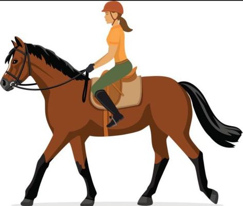 Horse and Rider clipart Summer Horse Riding, Horse Rider, Horseback Riding, Horse Riding, Pluto The Dog, Horses, Camping, Clip Art, Key