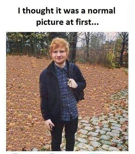 I thought it was a normal picture at first When You See It, Six Feet Under, Memes Humor, Memes Kpop, E Card, Ed Sheeran, Funny Pins, Optical Illusions, Funny Posts