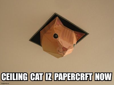 Ceiling cat in his origami glory. This little guy has been overlooking our office for a few years now. Cat Papercraft, Cat Template, Crazy Cat Lady Gifts, Dog Mommy, Cat Watch, Diy Ceiling, Halloween Photos, Cat Crafts, Paper Cutout