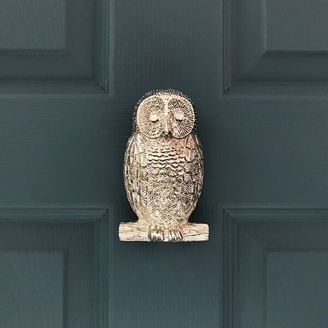 Animal Door Knockers - Bee, Dragonfly, Owl & Fox | Coates & Warner Bee Door Knocker, House Themes, Lion Door Knocker, Owl Door, Vintage Octopus, Door Knobs And Knockers, House Tips, Door Detail, Carved Doors