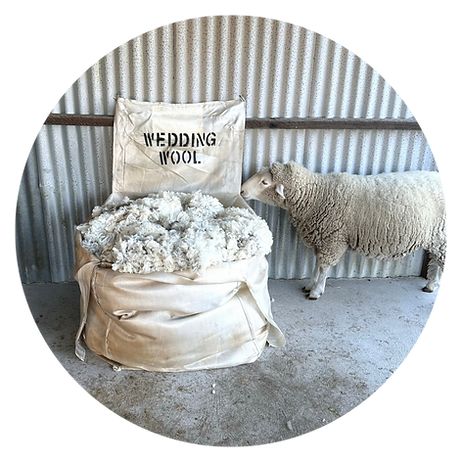 Our sheep are called Sunny and The Other One - and here’s TOO with our Wedding Wool bale Sheep Wedding, Rustic Wedding Ceremony Decor, Farmer Wedding, Unique Rustic Wedding, Be Unforgettable, Rustic Wedding Ceremony, Romantic Backdrop, Sheep Farm, Farmhouse Wedding