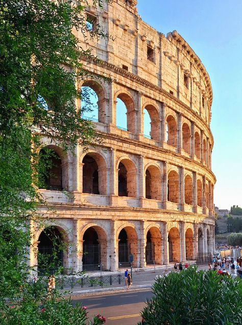 #roma #colosseum #italy Colloseum Rome Pictures, Greek Colosseum, Colloseum Italy, Rome Coliseum, Colosseum Italy, Rome Pictures, Rome Italy Colosseum, Roman Colosseum, Rome Colosseum