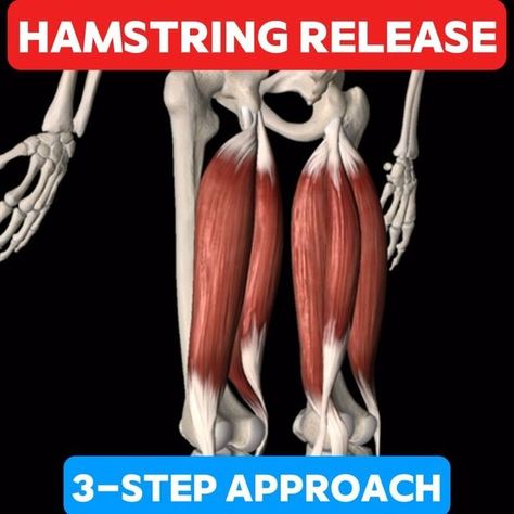 Mitch Israel, DC | Movement & Mobility Specialist on Instagram: "🥴TIGHT HAMSTRINGS⁉️
•
•
Do your hamstrings feel like guitar strings? Try this 3-step approach to release and strengthen them for lasting relief!
•
•
1️⃣ Reduce Tension with a standing hamstring PIR stretch. This move will help quickly loosen up those tight muscles and prepare them for the moves ahead.
•
•
2️⃣ Restore Motion with seated hip flexion hovers. This exercise helps to restore hip flexion range of motion in your hips while elongating the hamstring muscles.
•
•
3️⃣ Reinforce Strength & Stability using split-stance RDLs. This exercise not only strengthens your hamstrings but also adds stability to prevent future tightness.
•
•
This “3 R’s” approach ensures you’re not just temporarily relieving tension but also restori Passive Stretching, Hamstring Muscles, Stability Exercises, Tight Hamstrings, Hamstring Stretch, Hip Stretches, Reduce Tension, Hip Mobility, Mobility Exercises