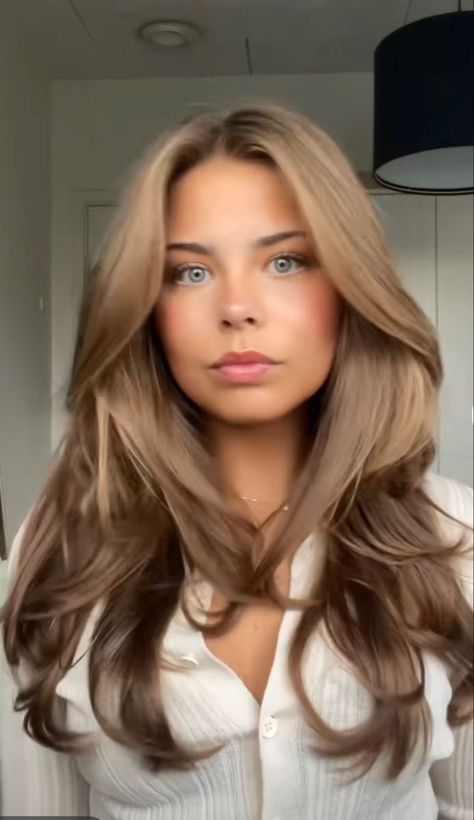 Hair For Pale Cool Toned Skin, Solid Brown Hair Color Light, Almond Brown Hair, Light Honey Brown Hair, Lighter Brown Hair Color, Lighter Brown Hair, Light Brunette Hair, Honey Brown Hair, Brown Hair Inspo