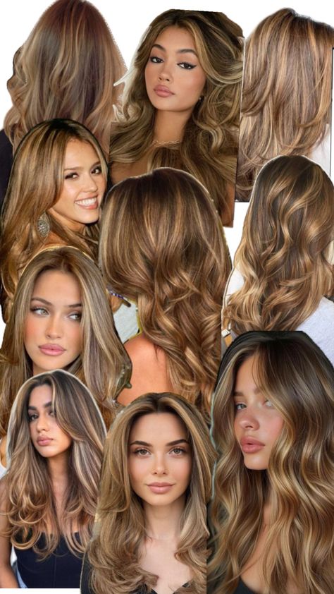 Highlight Hair Dye, Golden Highlights Brown Hair, Sombre Hair, Honey Brown Hair, Brown Hair Inspo, Hair Color Caramel, Brunette Hair With Highlights, Brown Hair Balayage, Honey Hair