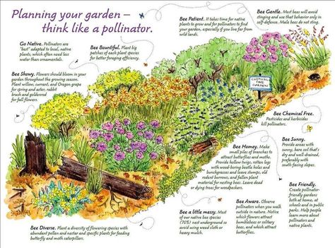 Pollinator Garden Design, Bee Friendly Garden, Habitat Garden, Native Plant Gardening, Hummingbird Garden, Bee Garden, Big Plants, Wildlife Gardening, Master Gardener