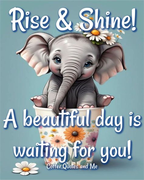 A beautiful day is waiting for you! Rise and shine! morning good morning rise and shine morning nights days new day quotes rise and shine quotes good morning messages good morning positive quotes good morning rise and shine Morning Stickers, Shine Pictures, Weekly Greetings, Beauty Giveaway, Friday Images, Happy Day Quotes, Funny Day Quotes, Good Morning Funny Pictures, Positive Good Morning Quotes