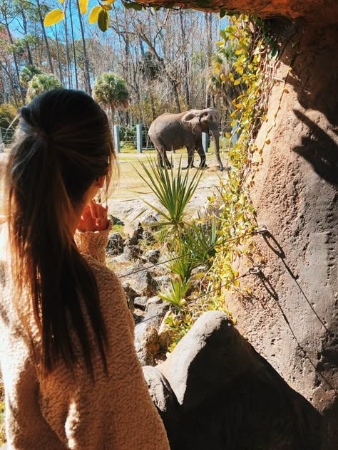 Photo idea at the zoo with an elephant my favorite animal ❤️💕 Zoo Date, Shooting Pose, Zoo Pictures, Zoo Photos, Only Aesthetic, Couple Activities, Cute Date Ideas, Summer Jobs, Summer Road Trip