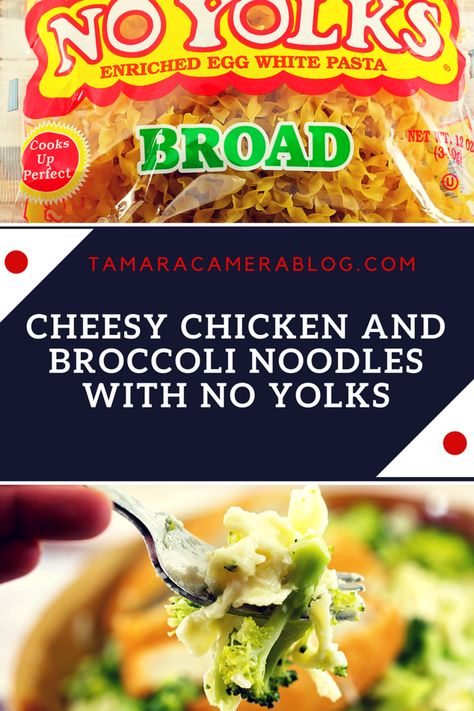 No Yolks Noodles! The answer to ANY #recipe you can make! We love ours with this Cheesy Chicken and Broccoli Noodles #recipe. #NoYolks #IC #NoOtherNoodle #ad No Yolk Noodle Recipes Chicken, No Yoke Noodles Recipes, No Yolks Noodles Recipes, No Yolk Noodle Recipes, Carnivore Dinner, Broccoli Noodles, Cheesy Chicken And Broccoli, Chicken And Egg Noodles, Chicken Pasta Dishes