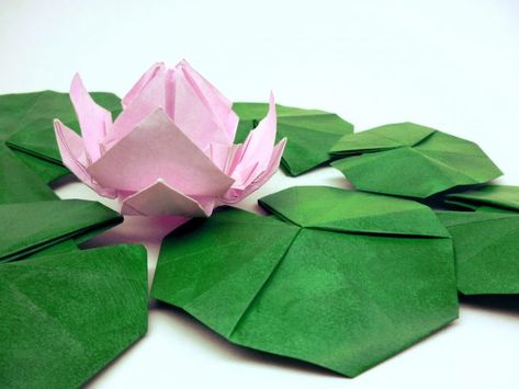 Gallery | Leaf Piece Origami Origami Water Lily, Koi Origami, Origami Lily, Origami Lotus Flower, Origami Leaves, Origami Flowers Tutorial, Origami Frog, Origami Diagrams, Origami Paper Art