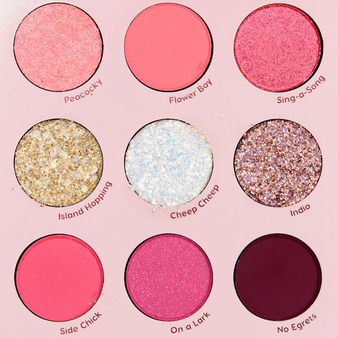 Colour Pop Love Bird 9-Pan Pressed Powder Palette Review & Swatches Aesthetic Makeup Palette, Pink Aesthetic Makeup, Best Highlighters, Shimmer Bronzer, Pink Eyeshadow Palette, Blue Eyeshadow Looks, Colourpop Eyeshadow, Powder Palette, Makeup Pallets