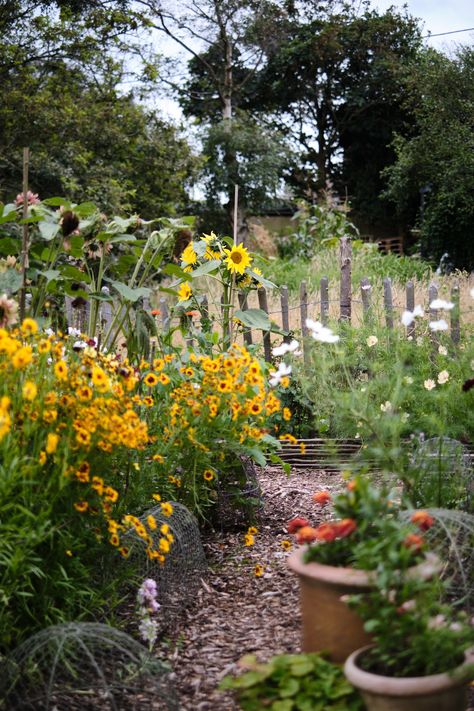 Gardening Wall Ideas, Cottage Garden With Lawn, Cottage Backyard Garden, Southern Cottage Garden, Urban Backyard Garden, New England Vegetable Garden, British Cottage Garden, Vegetable Garden With Flowers, Cottage Core Backyard