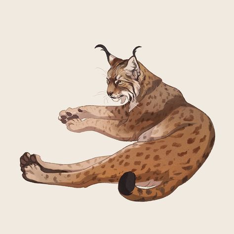 norapotwora Nora Potwora, Canine Art, Creature Drawings, Book Illustrations, Decorative Art, Anime Poses Reference, Lynx, Anime Poses, Christmas Art