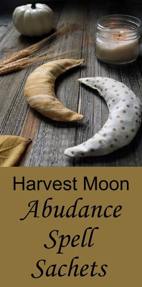 DIY Harvest Moon Abundance Spell Sachets - Moody Moons Mabon Crafts Diy, Witchy Craft Ideas, Diy Witchy Gifts, Spell Bottles Diy, Diy Hobby Ideas, Spell Sachets, Witchy Diys, Diy To Sell, Cottagecore Diy