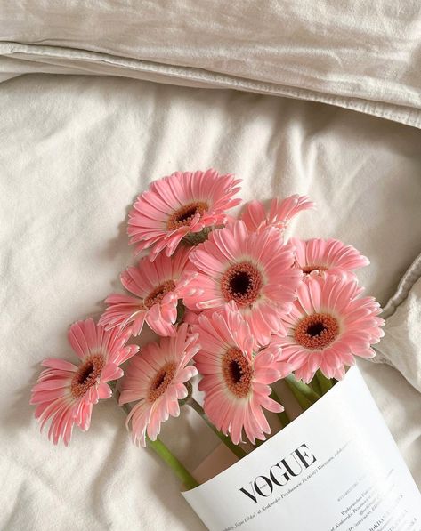 Pink Minimal Aesthetic, Visual Wallpaper, Pink Flowers Aesthetic, Aesthetics Pink, Gerbera Flower, Pink Gerbera, Paper Daisy, Oopsy Daisy, Soft Pink Theme