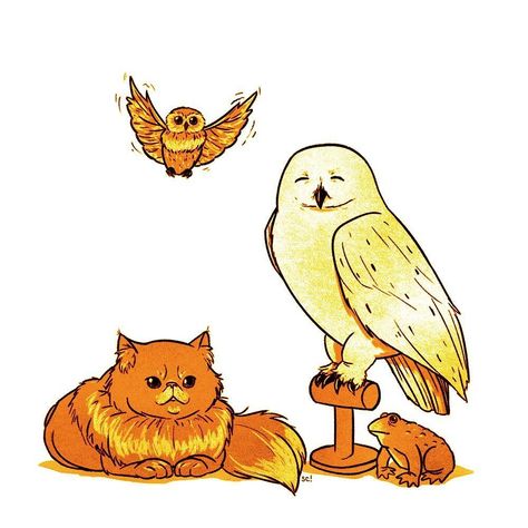 Art by @samicappa on Insta Crookshanks Fanart, Hedwig Art, Harry Potter And Hedwig, Potter Art, Harry Potter Art, Magical Creatures, Wood Burning, Owls, Art Reference